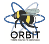 ORBIT 